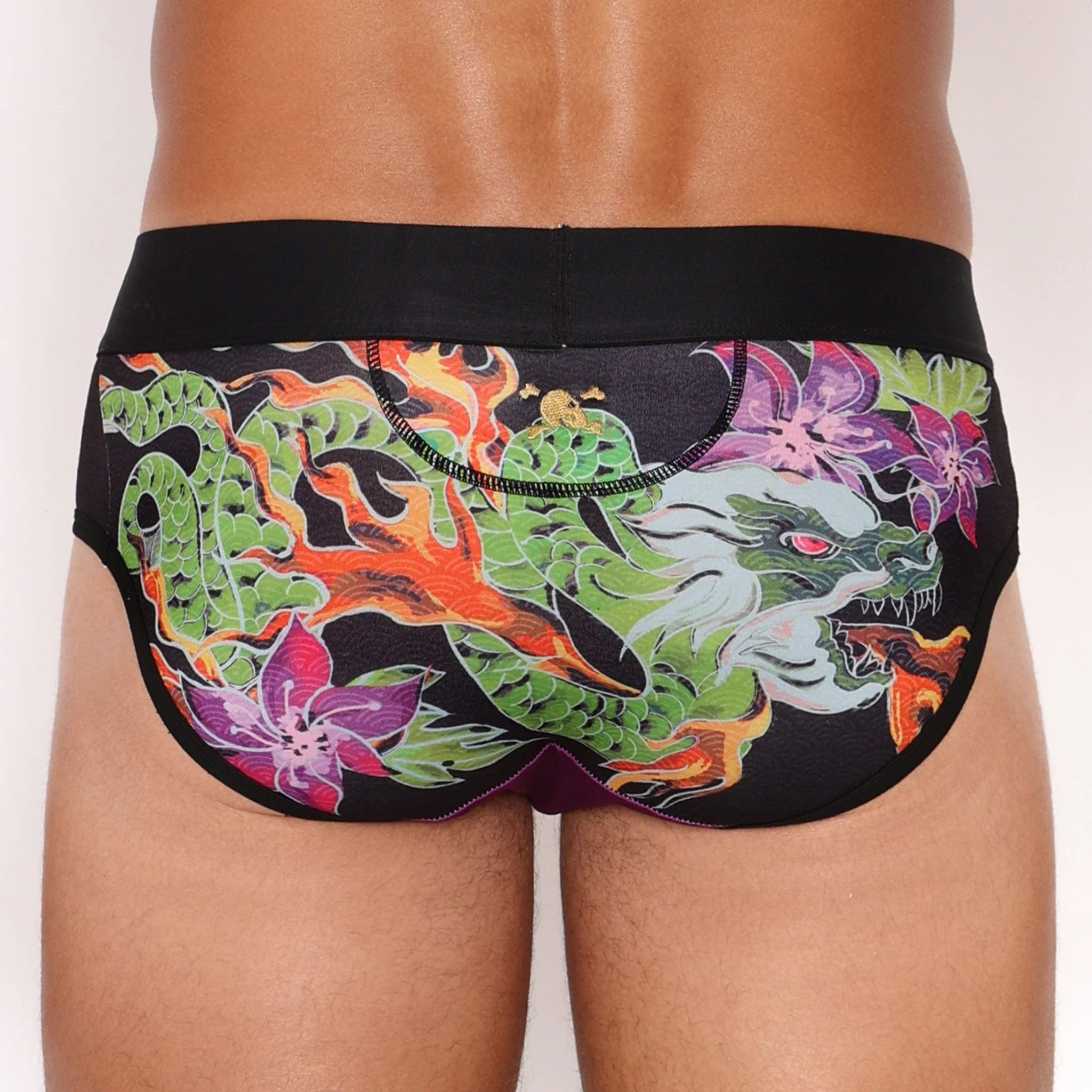 Fire Breathing Dragon Brief - Image 3