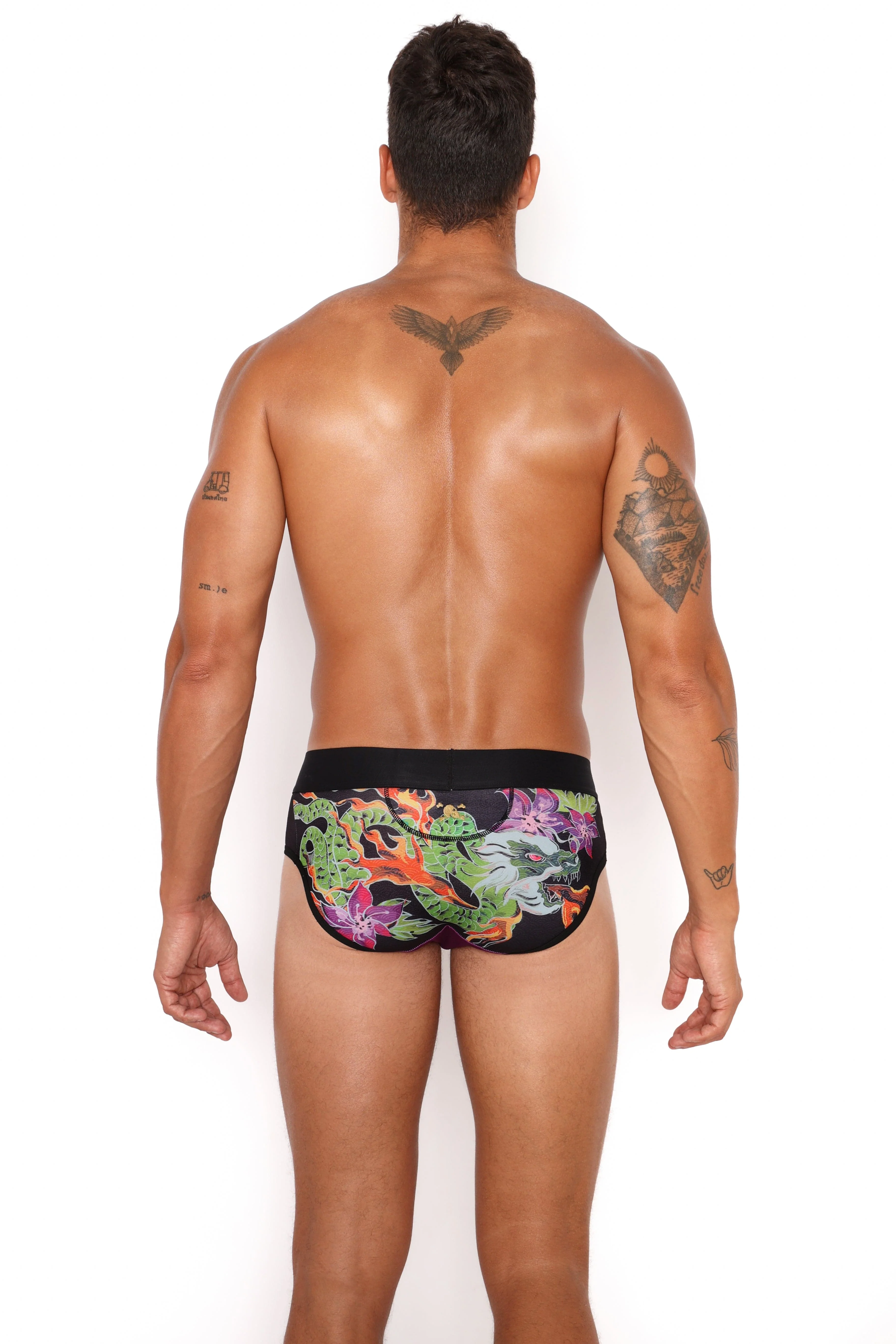 Fire Breathing Dragon Brief - Image 6