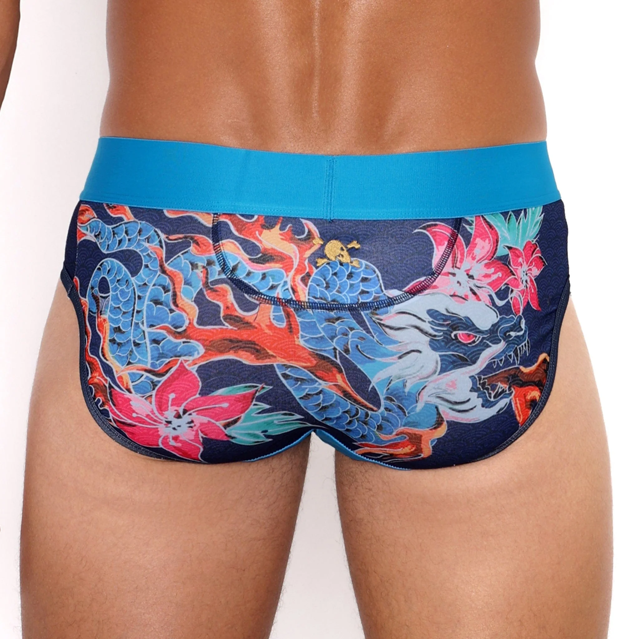 Fire Breathing Dragon Brief - Image 3